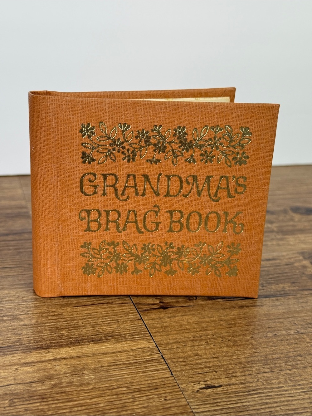 Vintage 1960’s Grandma's Brag Book Photo Album